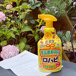 2020.6.6/ロハピ/アースガーデン/害虫対策/植物のある暮らし...などのインテリア実例 - 2020-06-06 11:58:40