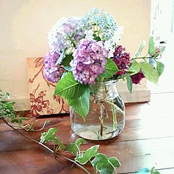 ヘデラのインテリア実例 Roomclip ルームクリップ