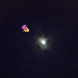 玄関/入り口/築50年以上/いいねコメありがとう(〃∇〃)/お月さま/今日もよい一日になりますように(〃∇〃)のインテリア実例 - 2016-11-22 05:51:03
