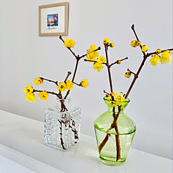 四季折々の花のある暮らしのインテリア実例 Roomclip ルームクリップ