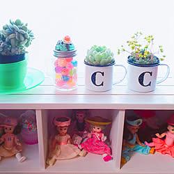 玄関/入り口/観葉植物/コメントありがと♡/いいねありがと♡/お返事とても遅くてごめんなさい...などのインテリア実例 - 2019-04-03 12:32:58
