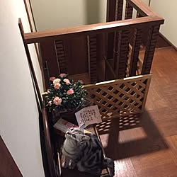 壁/天井/昭和の階段/籐の収納ベンチ/長崎カステラ/母の日のカーネーション...などのインテリア実例 - 2017-05-09 17:03:24