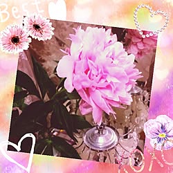 青山フラワーマーケットのインテリア実例 Roomclip ルームクリップ