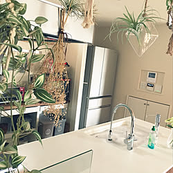 オキシクリーン Panasonicキッチンのインテリア実例 Roomclip ルームクリップ