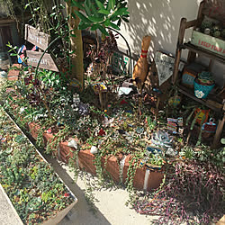 玄関/入り口/18.8.27/プランター/花壇/地植え...などのインテリア実例 - 2018-11-13 19:33:03