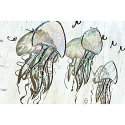 くらげ 海月のインテリア実例 Roomclip ルームクリップ