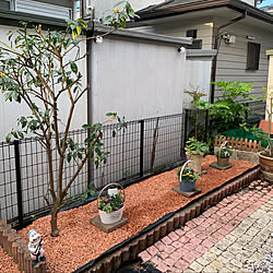 ビオトープ カインズのインテリア実例 Roomclip ルームクリップ