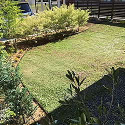 芝の根止めのインテリア実例 Roomclip ルームクリップ