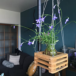 チークバスケット/築20年/ig→hitorururu/暮らし感/植物のあり過ぎる暮らし...などのインテリア実例 - 2019-05-26 23:02:27