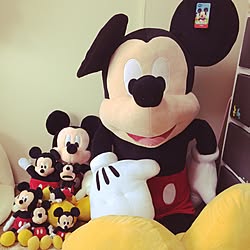棚 Disneyresort ディズニー ミッキー ダッフィー などのインテリア実例 15 02 08 18 39 03 Roomclip ルームクリップ