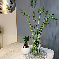 花瓶 アリウムのインテリア実例 Roomclip ルームクリップ 花瓶 アリウムのインテリア実例 Roomclip ルームクリップ