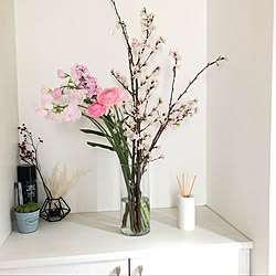 ストック 切り花の桜 桜 リビングのインテリア実例 21 02 03 52 04 Roomclip ルームクリップ