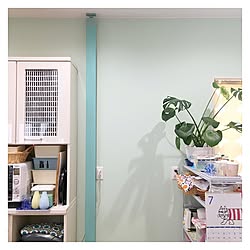 キッチン/2016.7.19/食器棚/リサラーソン/モンステラ...などのインテリア実例 - 2016-07-19 09:44:12