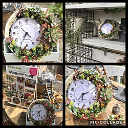 玄関/入り口/三日月多肉時計/多肉植物インテリア/花のある暮らし/インテリアグリーン...などのインテリア実例 - 2019-01-23 20:17:54