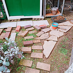 部屋全体/私の担当の北庭/2017年2月更地に戻した北庭のインテリア実例 - 2019-04-19 19:47:45