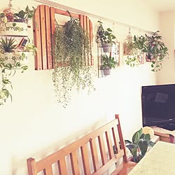 セリア ピクチャーレールのインテリア実例 Roomclip ルームクリップ