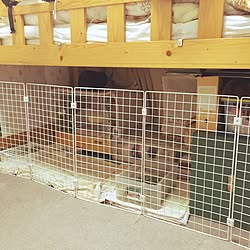 ベッド周り ベッド下 ゲージ うさぎ ロフトベッド などのインテリア実例 16 09 25 05 28 29 Roomclip ルームクリップ