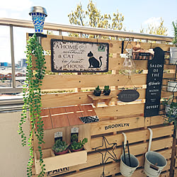 玄関/入り口/新商品買ったよ!/花のある暮らし/セダム属/セダム属 春萌...などのインテリア実例 - 2019-04-11 11:11:41