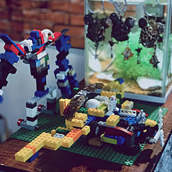 水槽 Legoのインテリア実例 Roomclip ルームクリップ 水槽 Legoのインテリア実例 Roomclip ルームクリップ