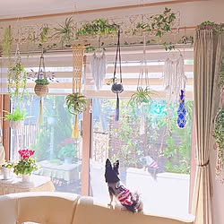 ダイソー サンキャッチャーの光のインテリア実例 Roomclip ルームクリップ ダイソー サンキャッチャーの光のインテリア実例 Roomclip ルームクリップ
