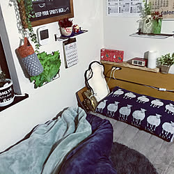 フェリシモ/毛布/∠( ᐛ 」∠)_/狭い部屋/狭い部屋のインテリア...などのインテリア実例 - 2021-01-01 17:58:03