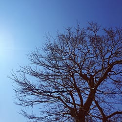 wherever you are/魔法の人/ゼンタングル部/西野カナ 君が好き/空プレゼント...などのインテリア実例 - 2017-03-10 09:01:08