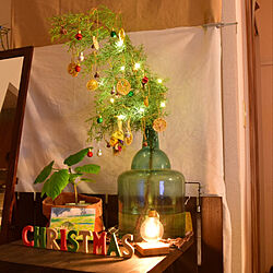 クリスマスツリー/クリスマス/1LDK/DIY/照明...などのインテリア実例 - 2020-12-21 20:10:43