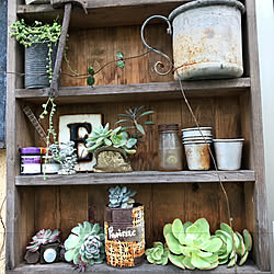 玄関/入り口/DIY/ガーデン雑貨/多肉植物寄せ植え/庭のある暮らし...などのインテリア実例 - 2017-12-21 20:36:20