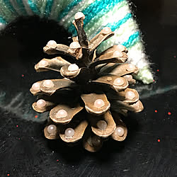 リビング/クリスマスツリー/ハンドメイド/手作り♪/フォローさんにいつも感謝です♥...などのインテリア実例 - 2018-12-15 21:31:36