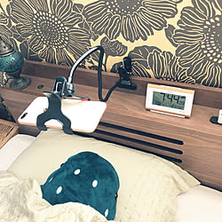 ジンベイザメのインテリア実例 Roomclip ルームクリップ