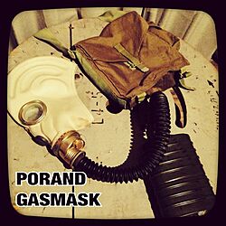 ガスマスクのインテリア実例 Roomclip ルームクリップ