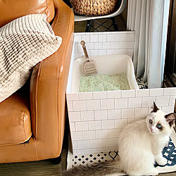 Diy 猫砂の飛び散り防止対策 猫トイレカバーdiy 猫トイレ ダイソー などのインテリア実例 22 06 13 09 14 06 Roomclip ルームクリップ