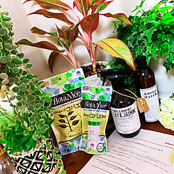 出窓のグリーン/BotaNice/多肉植物/観葉植物/お気に入り...などのインテリア実例 - 2019-07-04 21:13:41