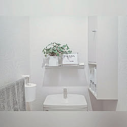 バス/トイレ/賃貸でも楽しく♪/100均/大東建託/賃貸...などのインテリア実例 - 2019-02-18 15:39:48