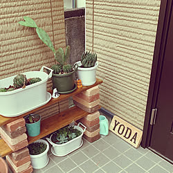 植物棚/わたしのDIY&リメイクアイデア/観葉植物/サボテン/DIY...などのインテリア実例 - 2020-09-16 16:54:41