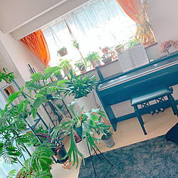 ピアノ/音楽のある暮らし/IG→ten.412/ガーデニング/花が好きな人と繋がりたい...などのインテリア実例 - 2020-06-25 16:02:28