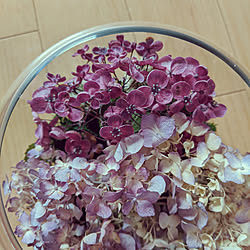 棚/シリカゲルドライフラワー/アジサイ/ダイソー/ダイソーの花瓶...などのインテリア実例 - 2020-07-04 08:28:09