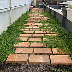 カインズホーム アンティークレンガのインテリア実例 Roomclip ルームクリップ