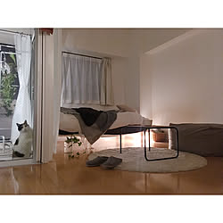 レースカーテンだけのインテリア実例 Roomclip ルームクリップ