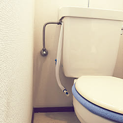 ラバーカップのインテリア実例 Roomclip ルームクリップ