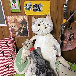 壁/天井/くたくたねこのぬいぐるみ/ティナ&ダイアナ (笑)/Manhattaner’s/RoomClip5周年...などのインテリア実例 - 2017-06-17 22:09:45