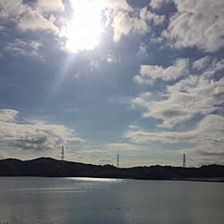 バス/トイレ/ヒルクライム 大丈夫/ぼっくり部/ゼンタングル部/ありがとうヽ(´▽`)/...などのインテリア実例 - 2016-12-03 10:36:29