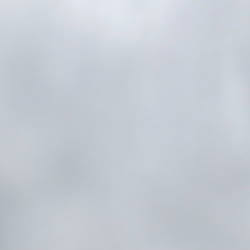 ひらつか/七夕さま/七夕まつり2019/七夕まつり2019/たなばたさま...などのインテリア実例 - 2019-07-07 13:15:20