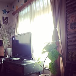 男前/男前も可愛いも好き/かっこ可愛いが好き♡/いろいろ/RC兵庫支部...などのインテリア実例 - 2014-09-26 08:44:58