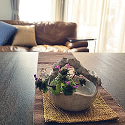 玄関 入り口 お庭 サギゴケ 春先取りの小花 雑草避け などのインテリア実例 03 12 08 40 33 Roomclip ルームクリップ