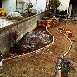 メダカ 石臼のインテリア実例 Roomclip ルームクリップ