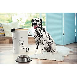 ドッグフードの収納場所のインテリア実例 Roomclip ルームクリップ