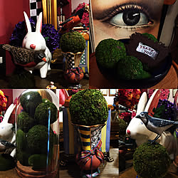 セリア クリアバッグのインテリア実例 Roomclip ルームクリップ