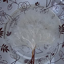 ドライフラワー 失敗例 これは悪い見本です ドライ成功した事ありまてん なぜ参加した などのインテリア実例 14 10 19 14 27 47 Roomclip ルームクリップ