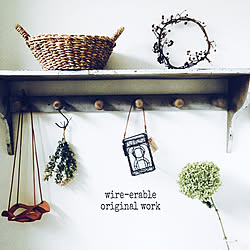 棚/ワイヤークラフト/二眼レフカメラ/プレ企画当選(ノ∇︎〃 )/wire-erable ちゃんの作品...などのインテリア実例 - 2017-08-16 11:47:40